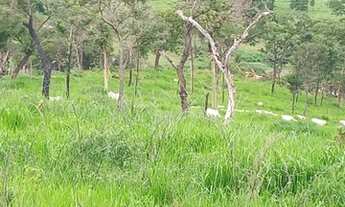 Imagem 2: Fazenda em Ponte Alta Tocantins