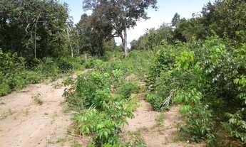 Imagem: Tenho um Ótimo Terreno de 18500 mts.no