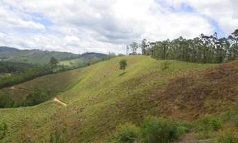 Imagem 3: Terreno de 1.000m². Barato e imperdível!
