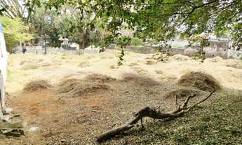 Imagem 4: Terreno / Area Plana - 800m2