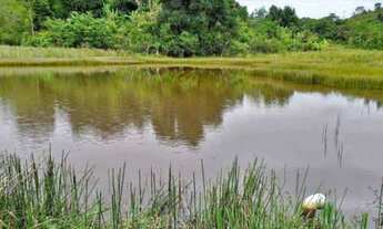 Imagem 2: V) Vende-se Fazenda próximo a Itajuípe