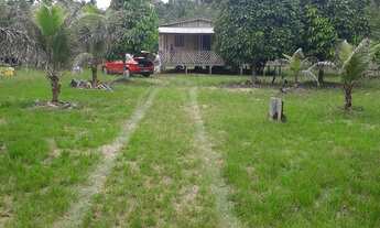 Imagem 6: Sítio no Novo Airão