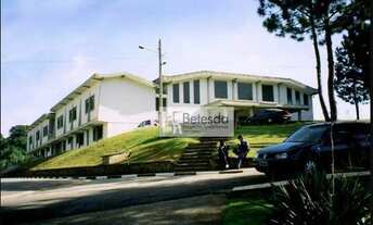 Imagem 5: OPORTUNIDADE PARA INVESTIMENTO à venda, 81.165 m² - São Roque/SP