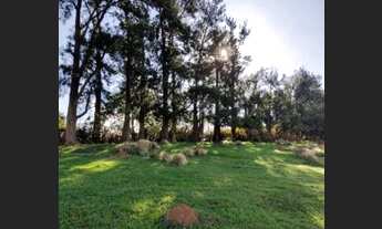 Imagem: Lote/Terreno para venda com 1000 metros