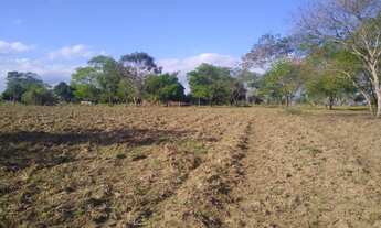 Imagem 4: Sítio a venda em outeiro. Rj