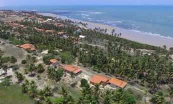 Imagem 2: Terreno praia da baleia itapipoca bera mar