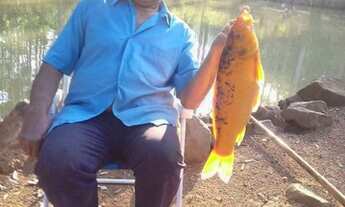 Imagem 6: Vende-se uma chácara no Caraá, por apenas R$190 mil reais