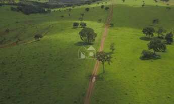 Imagem: Fazenda em Cocalinho
