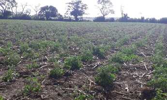 Imagem 2: Ótima Fazenda em monte alegre com 20 hectares com o rio Trairi