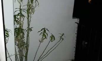 Imagem: Apartamento no Bairro casa Verde, dois dormitorios