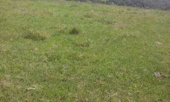 Imagem 2: Fazenda Porteira fechada ( AR 2749