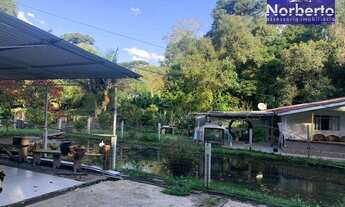 Imagem 4: Chácara à venda, 4367 m² por R$ 1.100.000,00 - Borda Do Campo - São José dos Pinhais/PR