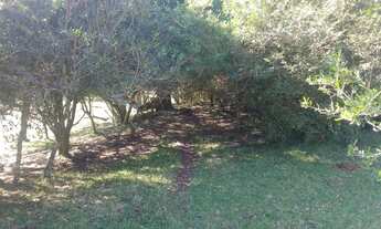 Imagem 6: Arrendo Chácara em Cerrito