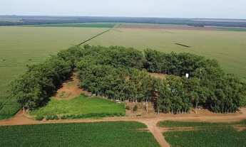 Imagem: Venda Fazenda - 3.103 hectares - Barracão