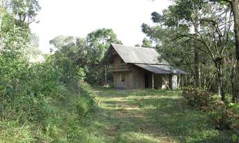 Imagem 2: Terreno para Venda em Campo Alegre, Postema