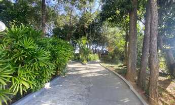 Imagem 3: Oportunidade Apartamento no coração da Freg. do Ó