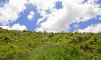 Imagem 7: Terreno em Piracaia