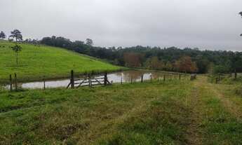 Imagem 3: Fazenda pronta linda taquara