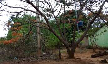 Imagem 2: Vende-se chácara no municipio de Arinos