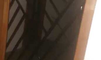 Imagem 2: ALUGUEL Apartamento com 2 dormitórios