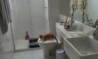 Imagem 4: Premiere Residence