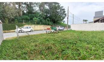 Imagem 4: Terreno GASPAR - SC