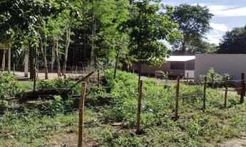 Imagem 5: Lote para rancho, pesca, beira rio Crixás Açu