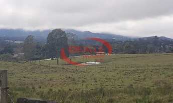 Imagem 4: Terreno à venda por R$ 1080000.00, 10000.00 m2 - CENTRO - QUATRO BARRAS/PR