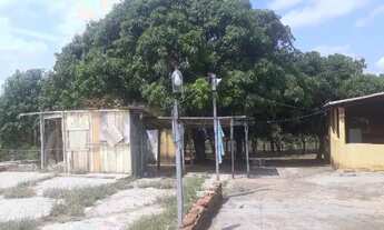 Imagem 7: Vendo Ótima Chácara