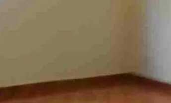 Imagem 7: Apartameto Apartamento com 2 dormitórios