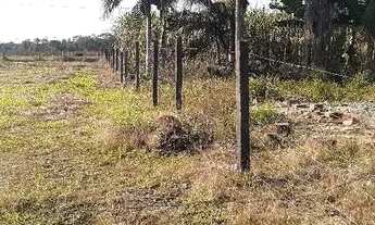 Imagem 3: Terreno na área industrial, em uma região com grande valorização