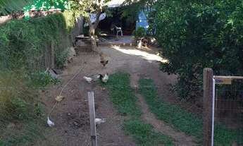 Imagem 5: Escriturada e Matrículada