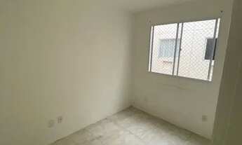 Imagem 7: Apartamento aluguel - Residencial Terra Brasilis