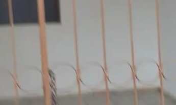 Imagem 2: Aluga-se casa Casa com 2 dormitórios