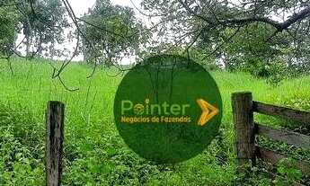 Imagem 5: Fazenda à venda, 9050800 m² por R$ 50.000.000 - Zona Rural - Doverlândia/GO