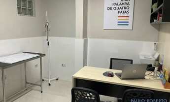 Imagem 4: COMERCIAL - VILA ROMANA - SP