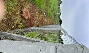 Imagem 7: Área com 900mt2 (30x30) Zona Industrial Pedro Abrão (Jd Gramado)- Goiânia - Go. Região N