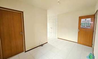 Imagem 4: PALHOçA - Padrão - Aririú