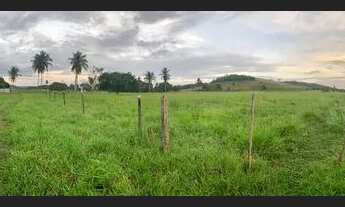 Imagem 4: Vendo excelente fazenda em São Sebastião do passe