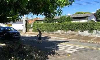Imagem 3: Casa com galpão à venda de 200 metros quadrados com 2 quartos em Jardim Guanabara - Goiâni