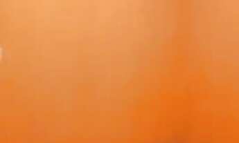 Imagem 2: Aluga-se casa térrea com 1 dorm. em Guarulhos