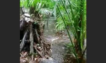 Imagem 5: Terreno em Morros com 528 metros quadrados