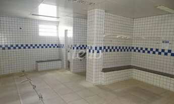 Imagem 4: São Paulo - Casa Comercial - Paraíso