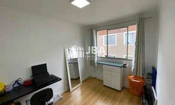 Imagem 3: CURITIBA - Padrão - Hauer