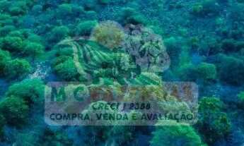 Imagem 4: Fazenda à Venda em Jeremoabo - BA | 33 Hectares