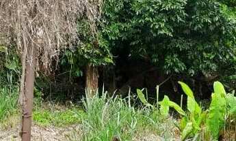 Imagem 5: Maravista lindo lote comercial plano e muito bem localizado