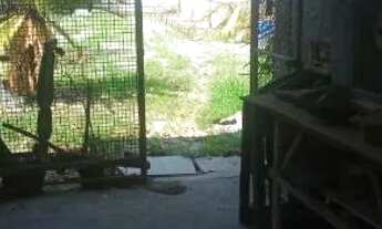 Imagem 7: Vendo em área comercial