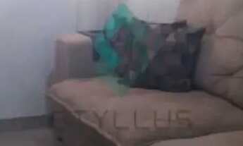 Imagem: Engenho de Dentro