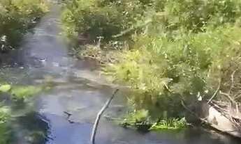 Imagem 4: Fazenda com 1.006 hectares, plana - Próximo a Chapada Gaúcha