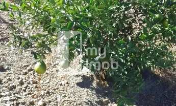 Imagem 2: Chácara com Água em Joanápolis